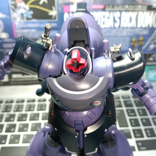 ガイアさんのリックドム