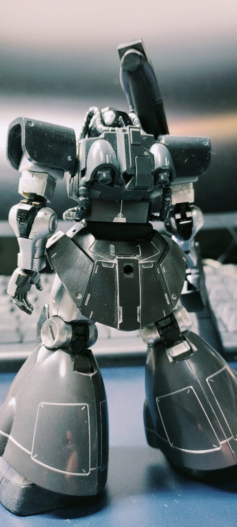 後ろ姿．成形色がいい色やねー．