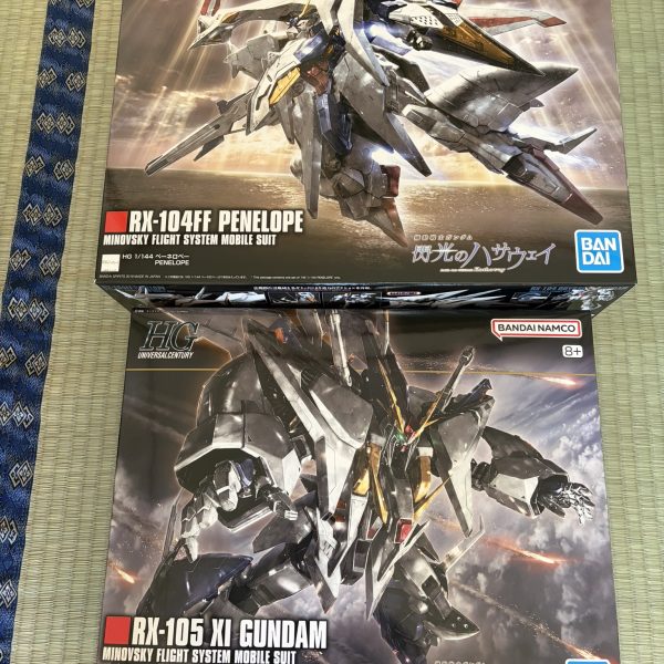 1月30日(金)11時15分、現時点、日本のアニメの最高峰の映画を見ることが出来たと大興奮この話を30年前に作った富野さん、この話を映画にする際、本当に細かい設定・映像・心情表現を盛り込んでくれた映画関係者の方々に、感謝「ハサウェイの心情に近いんじゃないか！」という原作が作られた時代より更に古い名曲を、エンディングに使う英断。人生で一番見た映画になりそうなので、映画館でいっぱい見ようと決めた、今日。川崎のヨドバシカメラにセットで販売されていたので即決！（2枚目）