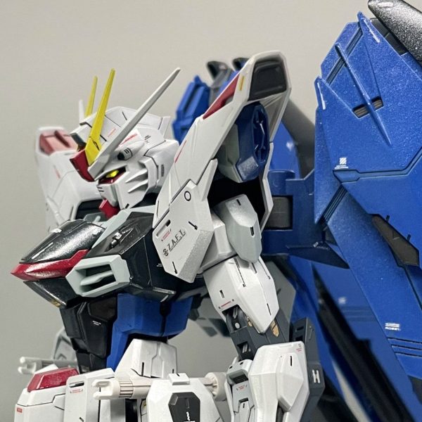 MG フリーダム Ver.2.0