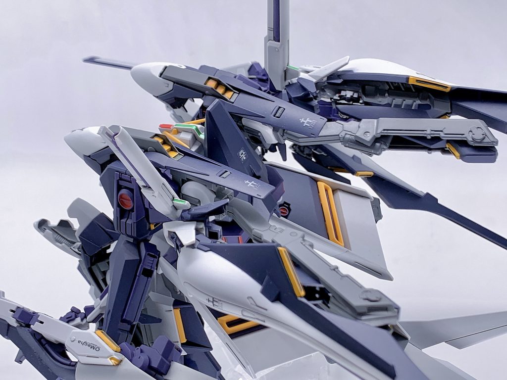 背面の密度感。