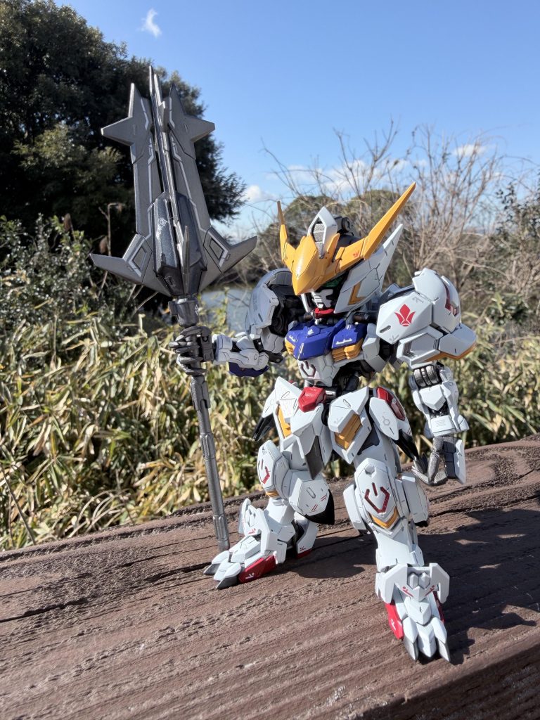 青空での撮影。綺麗に撮れて満足してます。