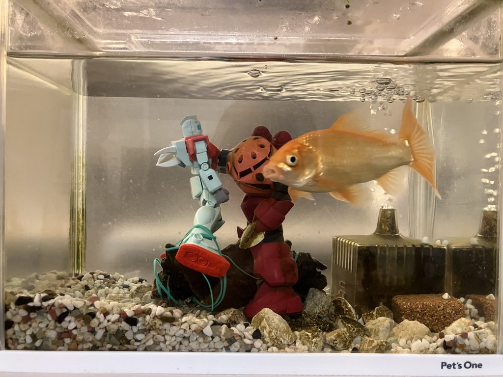 プラモデルは軽いから、水を入れると浮いてしまうので、園芸用の針金で適当に縛りつけておきました。ジムの背中に穴を開けて、ズゴックの爪を差し込んでいます。ズゴックの腕は、1ブロック短縮し、ジムのお腹に関節の受けを入れて接続しています。