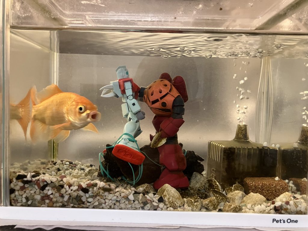 ジャブローに散る