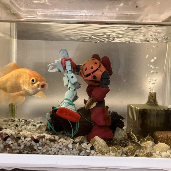 ジャブローに散る