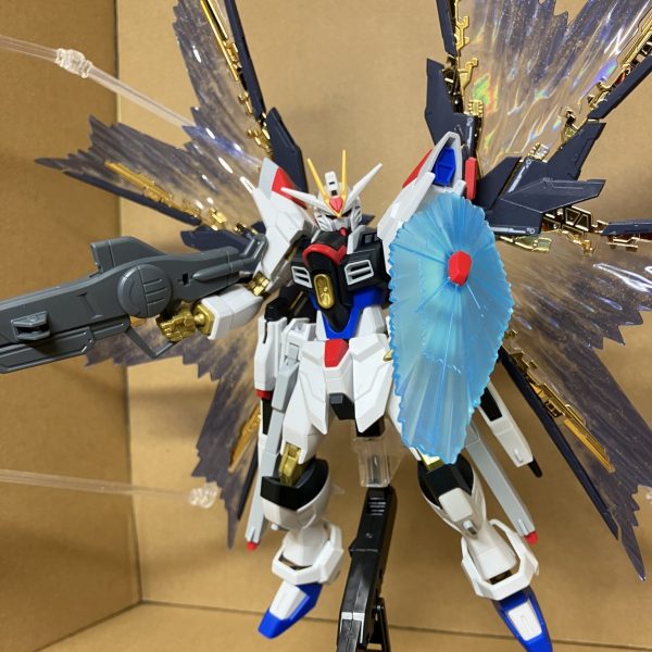 だけど僕にも武器はある！ラクスの愛だ！