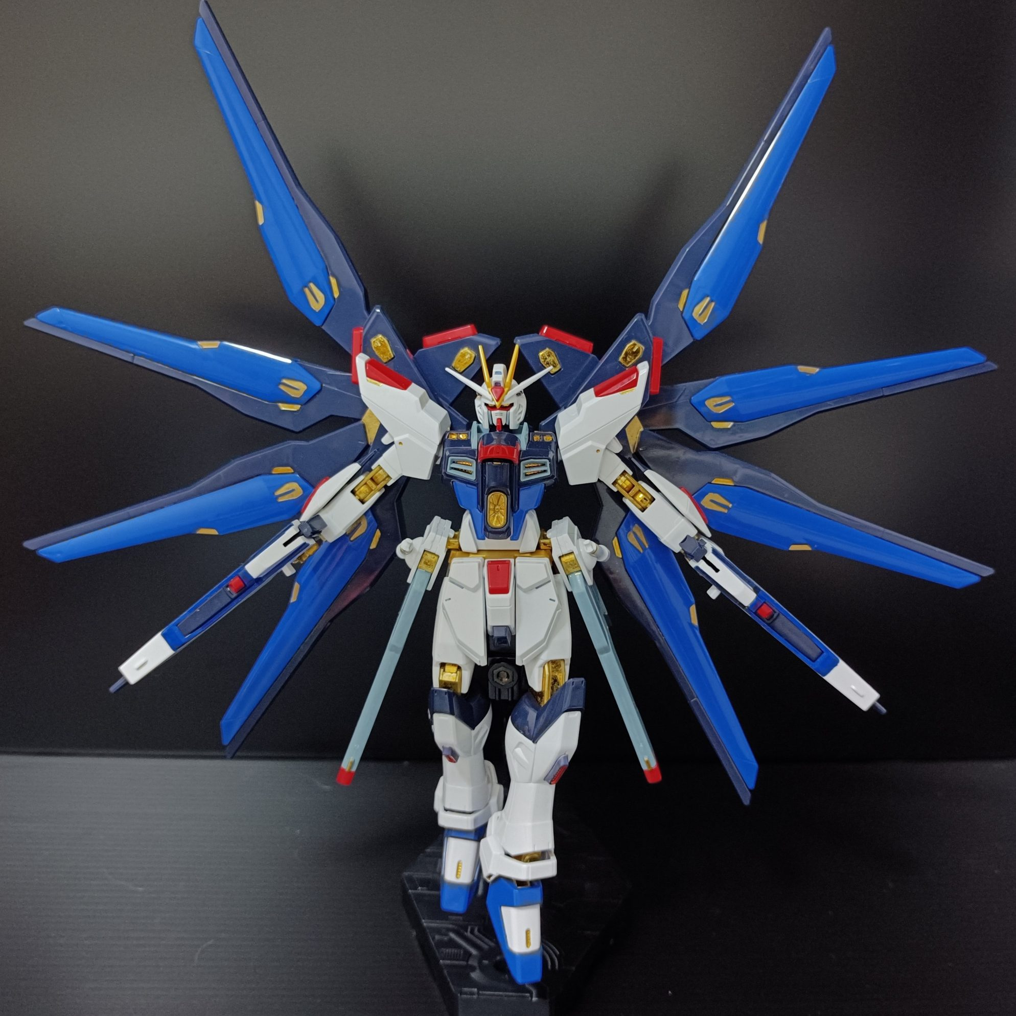 HGCE ZGMF-X20A STRIKE FREEDOM GUNDAM