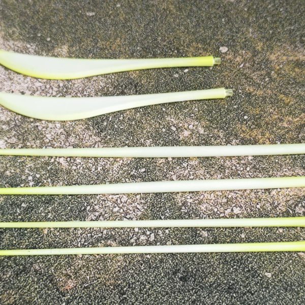 おげるぐキャノン💦（6枚目）