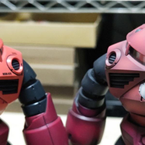 見つめ合い宇宙（水陸療養）