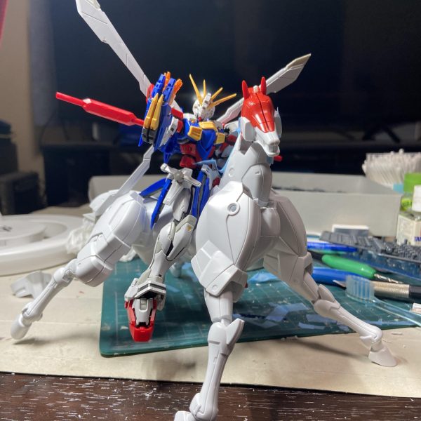 気ままに作成。風雲再起さんを可動できるようにしてます。RGと書いてますが、特に意味はないです(gundam-kao2)（5枚目）