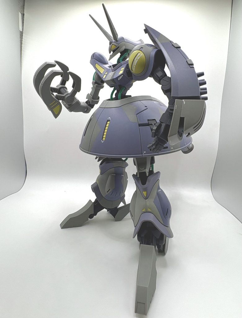 バウンド・ドック