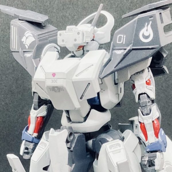 HG1/144 MD-0084 ヴァイスリーベ