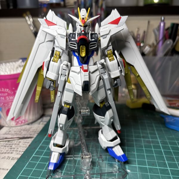 HGCE MGEX風マイティーストライクフリーダム