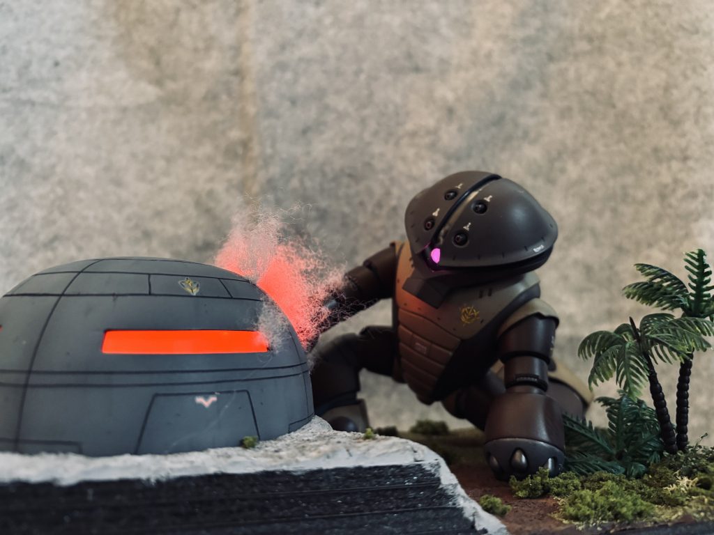 少し明るい場所で🌴📷だと🔥が単調でつまらないですねー🥲