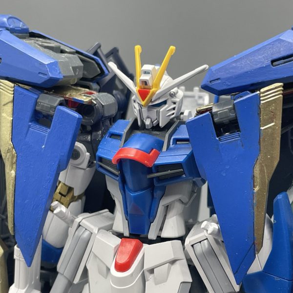 ライジングフリーダムガンダムTYPE-E(エクリプス)