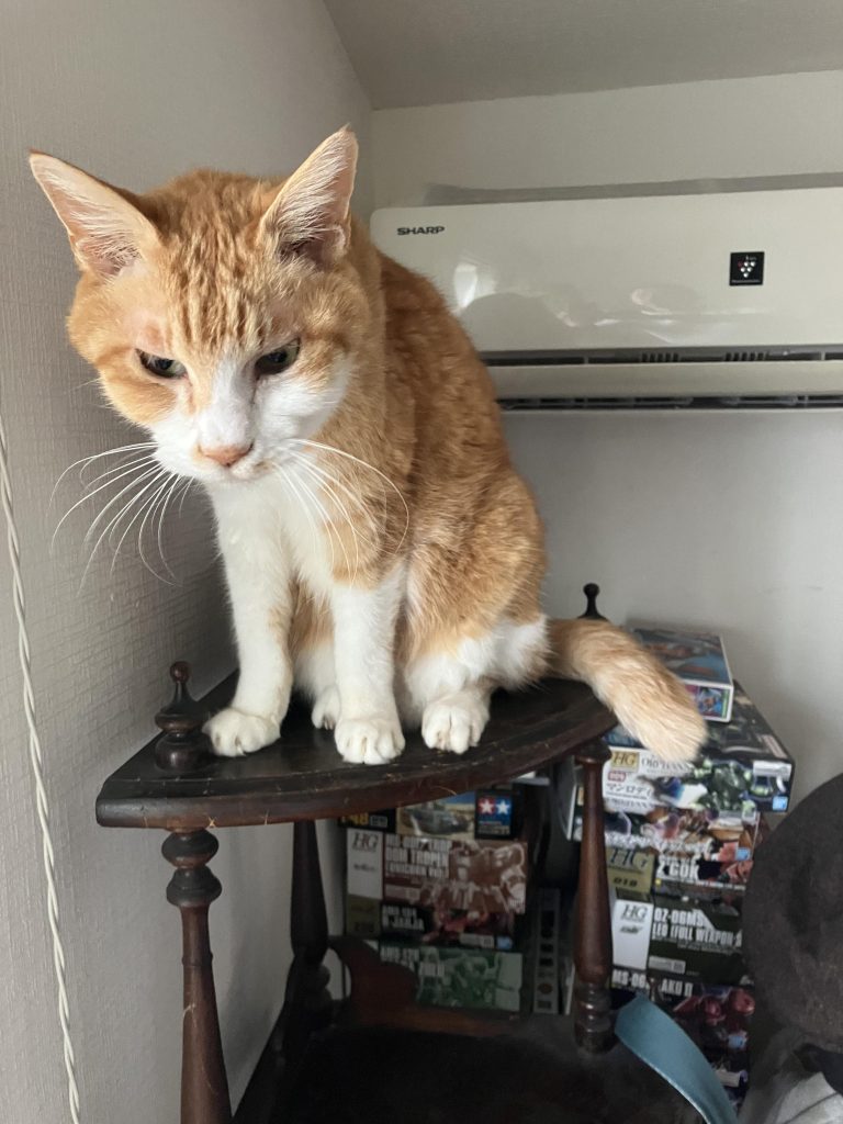 最後まで読んでいただき、ありがとうございましたm(_ _)m&nbsp;