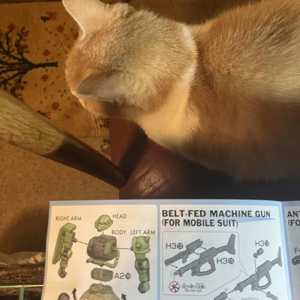 。「新年の計は元旦にあり」とは、「物事は初めが肝心で、一年の計画はその年の初めである元旦にしっかり立てるべきだ」という意味で、目標設定と計画立案の重要性を説くことわざです。毛利元就の言葉に由来するとされ、1日の計画は朝に、1年の計画は元旦に立てるべきという考え方が根底にあり、何事もスタートが肝心という戒めを含んでいます。&nbsp;と言う事で新年、最初はザクⅡでいきます٩( 'ω' )وよいしょ〜って元旦じゃないじゃんとか野暮なツッコミはいらんですよ🖐️ 笑🤣（2枚目）