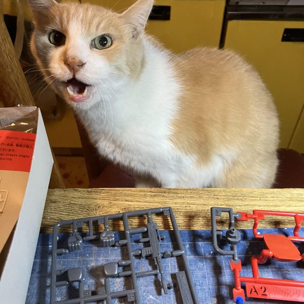 すこし前に行った安彦良和、描く人展で買った「安彦良和の色調」でランナー塗りしてみたよ筆塗り、直塗り、溶剤の臭いがするからベランダで塗りました乾燥が早くて色がぜんぜん伸びないの(T ^ T) &nbsp;笑&nbsp;（6枚目）