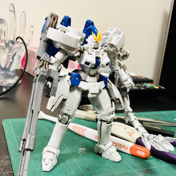 RG トールギスIII 怒られようともマイスタイルで🥳で