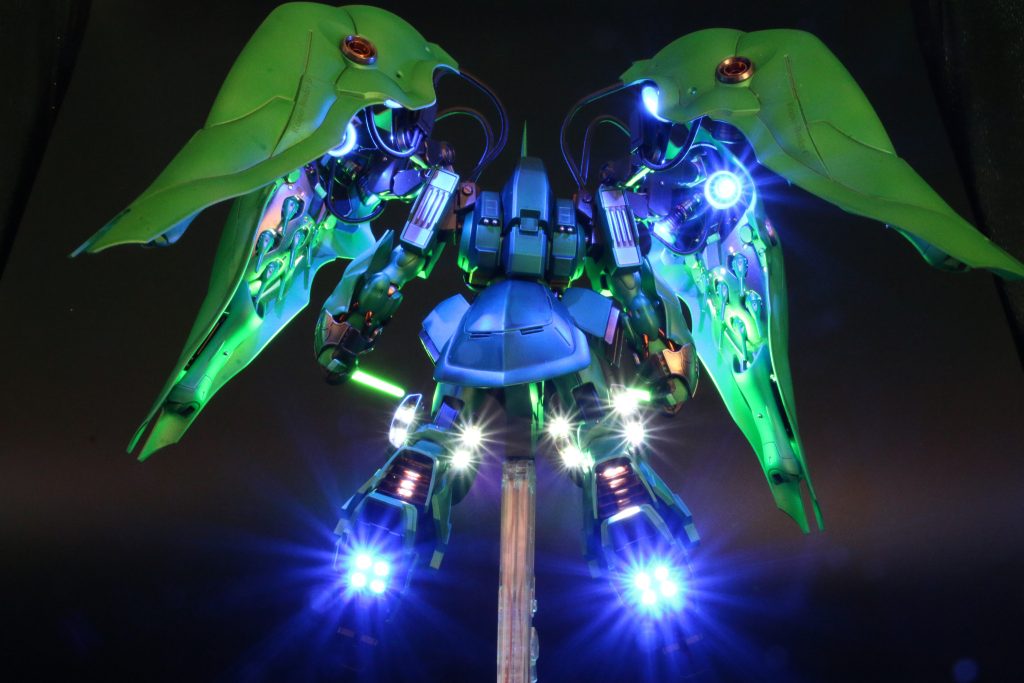 この後ろ姿を撮りたいために電飾しました