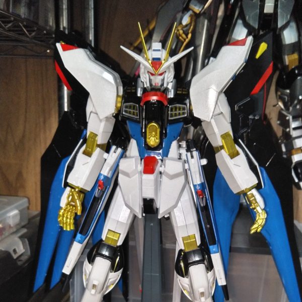 ストライクフリーダム　1/60