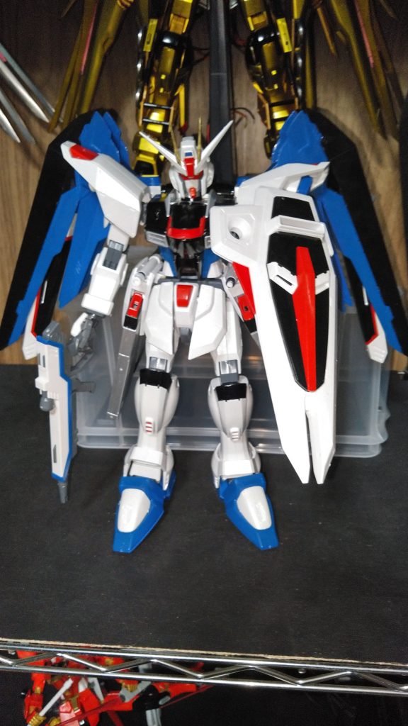 フリーダム　1/60