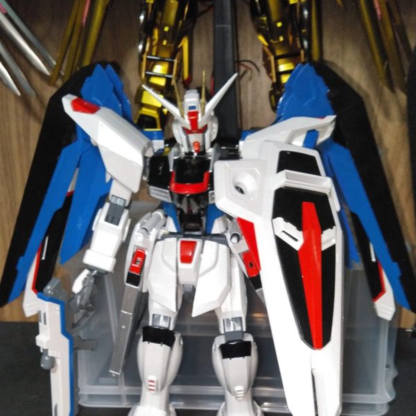 フリーダム　1/60