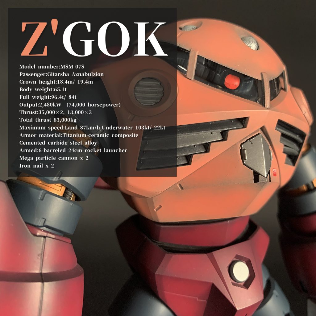 シャア専用ズゴック 黒立上げ Z’GOK MSM07-S MG1/100