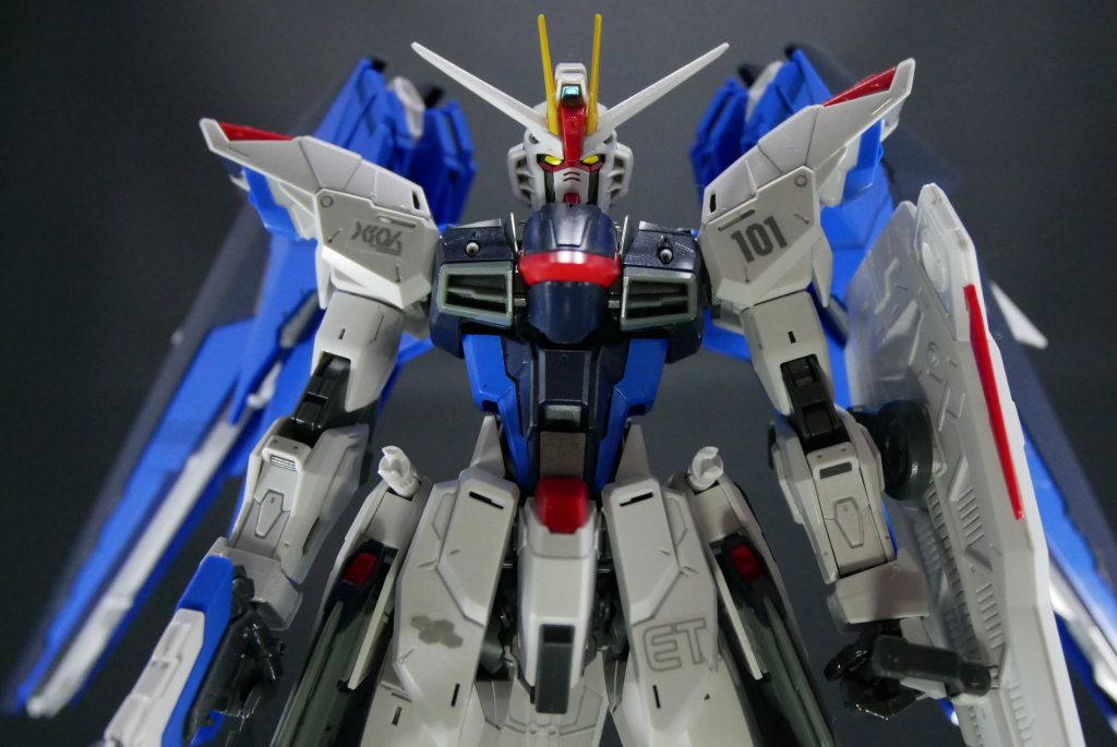 MGEX ストライクフリダームガンダム　＋　MG　フリーダムガンダム　＋　MG　プロヴィデンスガンダム３点セット–5枚目/制作者：suteteko76