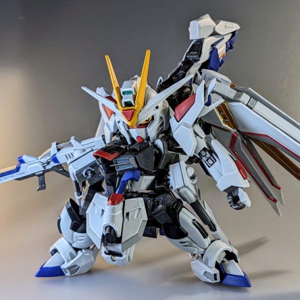 ライジングフリーダムガンダム（マイティカラー）