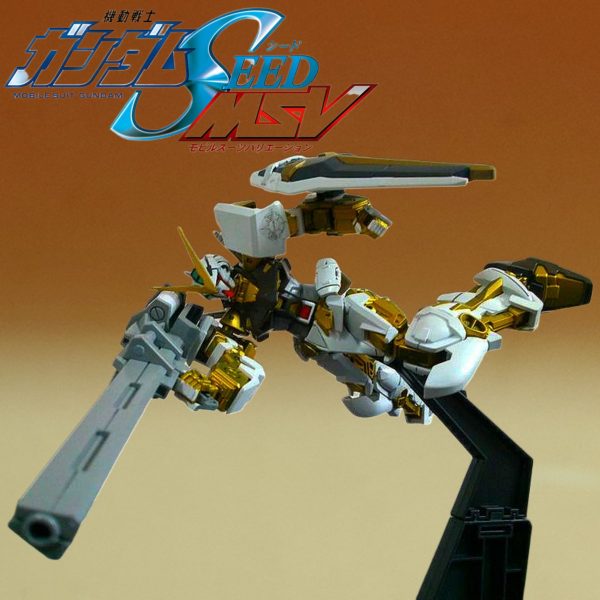 CEHG(新模型体)•ガンダムアストレイゴールドフレーム