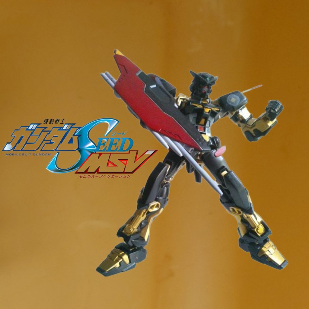 CEHG•ガンダムアストレイ天未完成