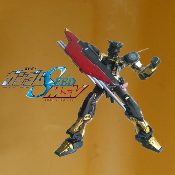 CEHG•ガンダムアストレイ天未完成