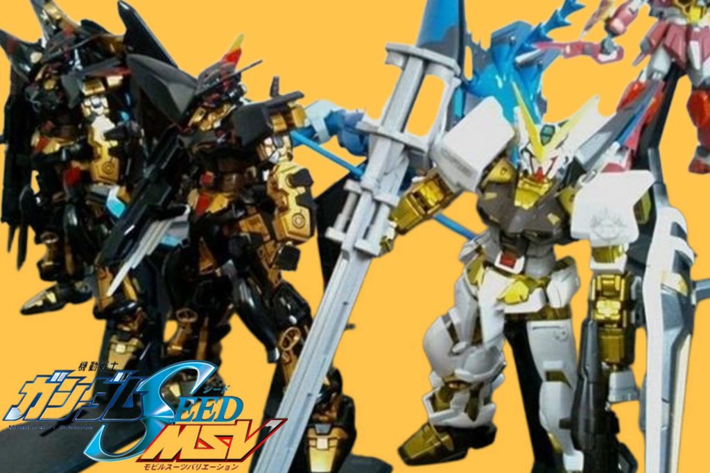 CEHG(新模型体)•ガンダムアストレイ天未完成