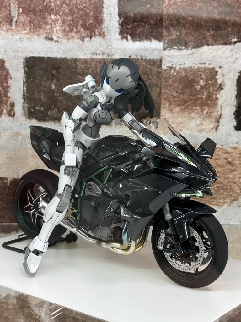 二度目の出品時はこのようなポーズで。以上となります。ご覧いただきありがとうございました。(^▽^)/