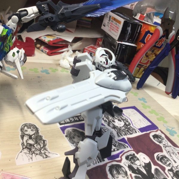 ガンダムシュバルゼッテをポージングしました！
