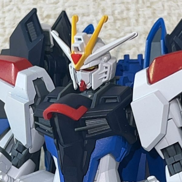 ライジングフリーダムガンダム(フリーダムカラー)