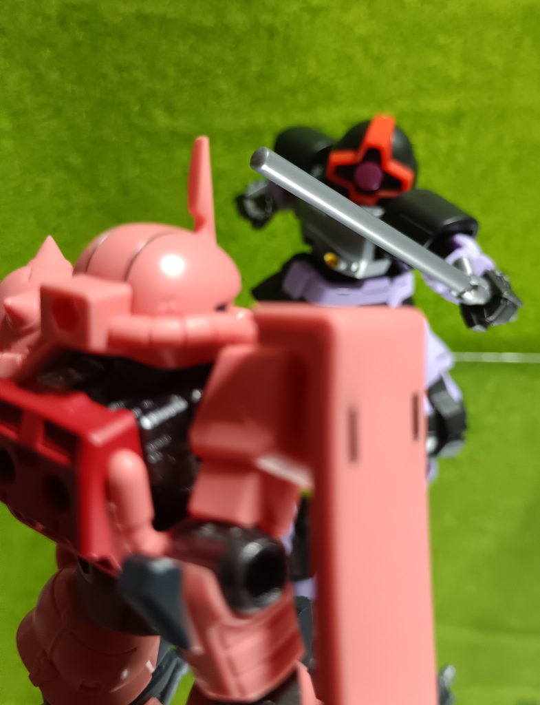 ドムに勝負をいドム!!…すいません笑