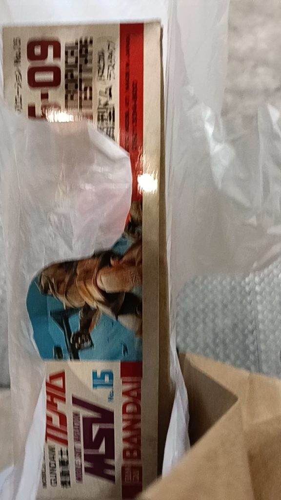 作品名：最近のこと<p>最近あまり制作できてないから学年末テスト終わったらドムトロピカルテストタイプ頑張って完成させたいです、 そうそう、2個目買えたんですよドムトロピカルテストタイプの旧キット、ブレまくってるけど</p>
