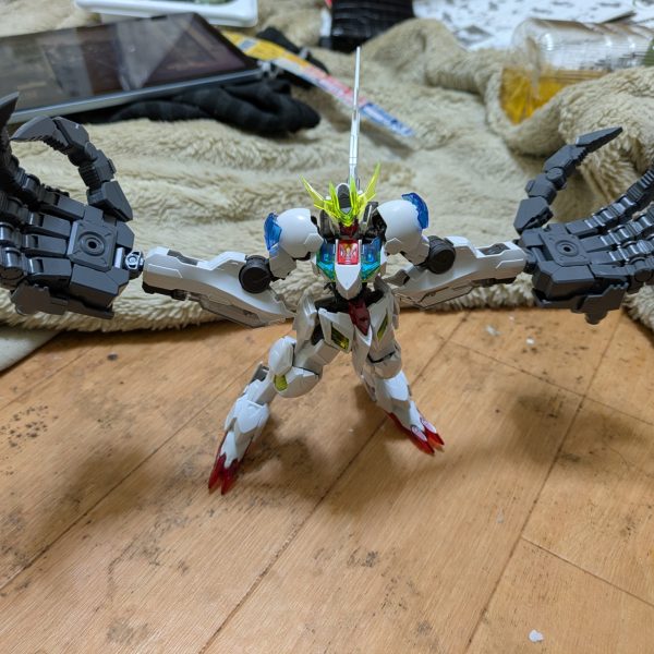 やっと手（手）に入れた（笑）