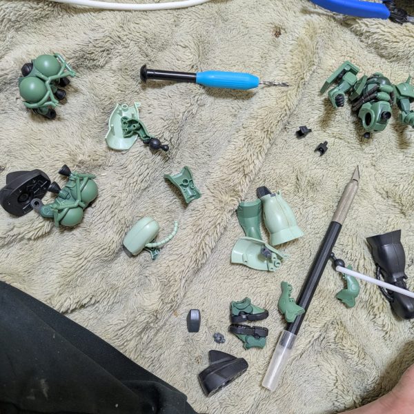 やっと素組できたから…