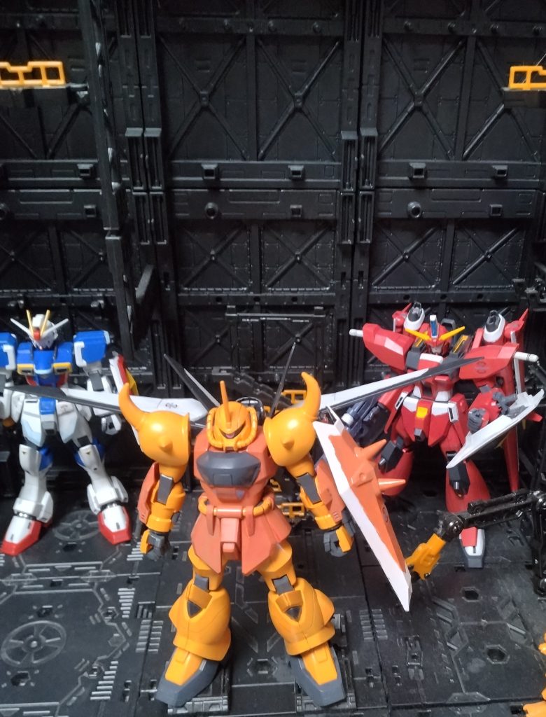 旧HGキットグフイグナイテッド–3枚目/制作者：サト(悟)