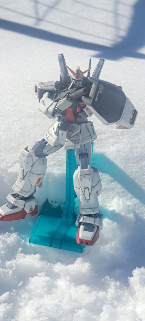 せっかくなので雪をバックに