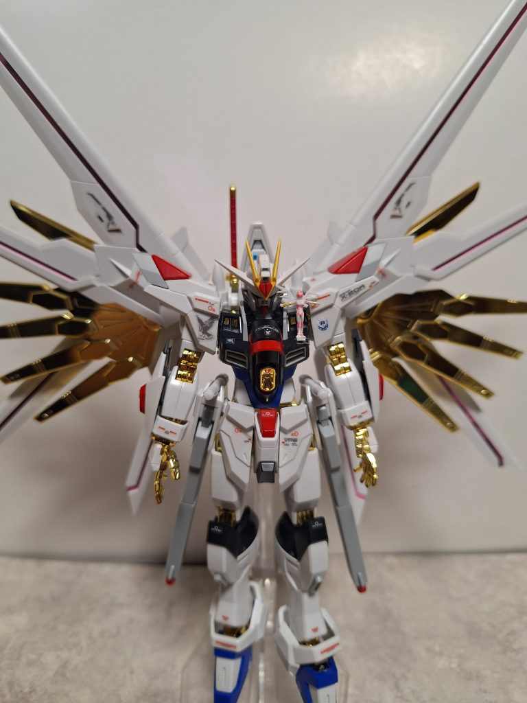 マイティーストライクフリーダム+ラクス