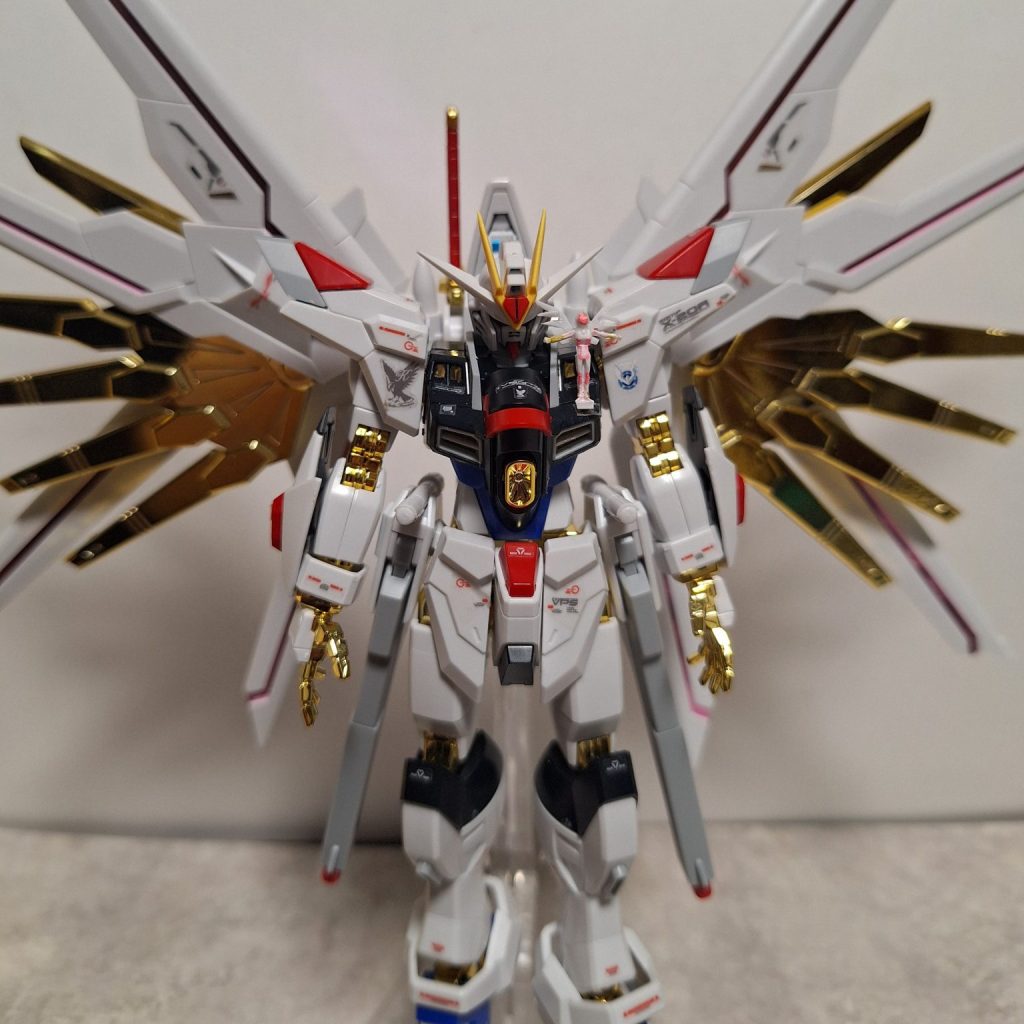 マイティーストライクフリーダム+ラクス｜ttzさんのガンプラ作品