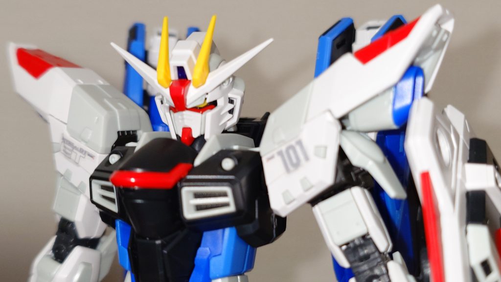 RG  フリーダムGCP Ver