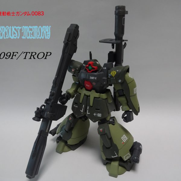 ドムトローペン南米局地戦仕様