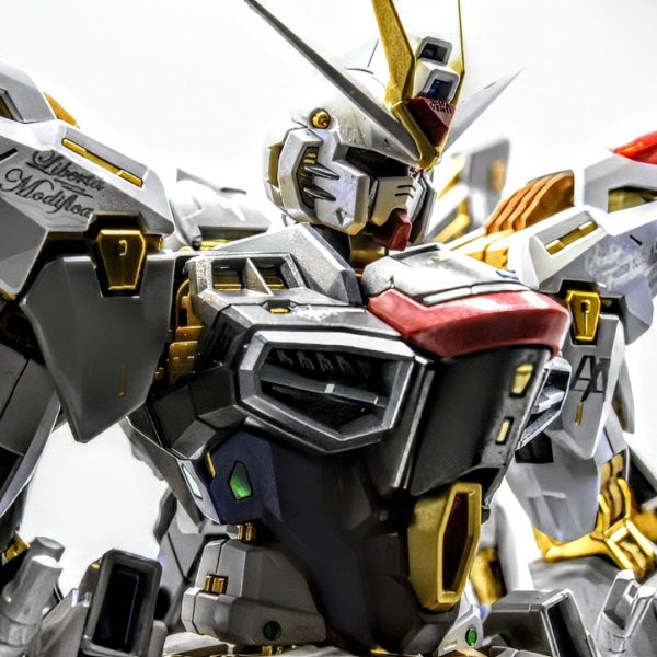 MGEX ストライクフリーダム チタニウムフィニッシュ風塗装