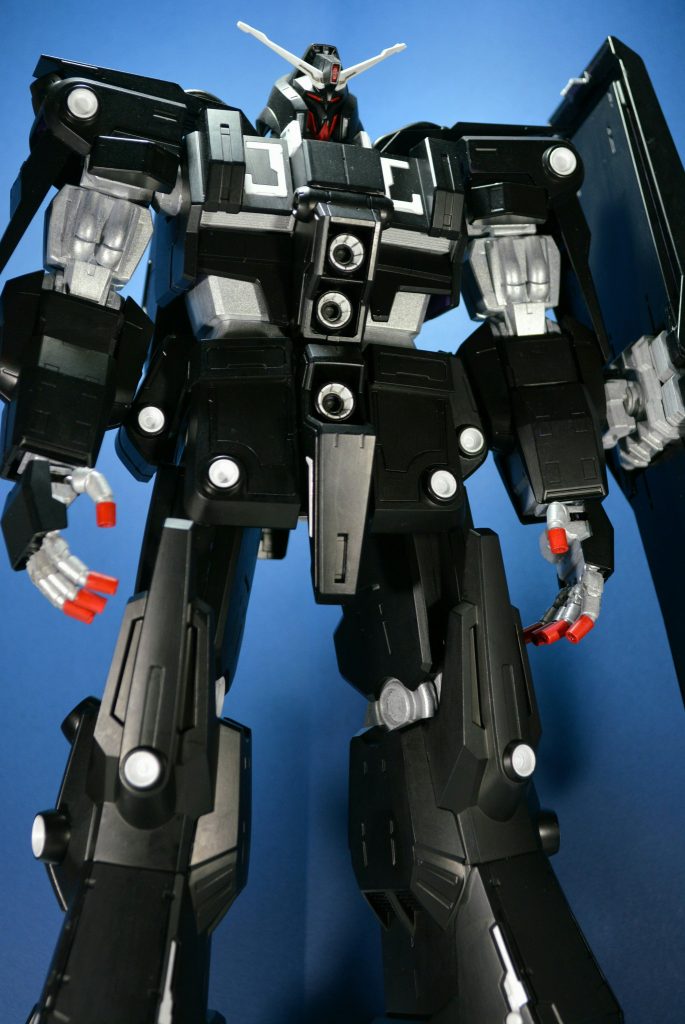 あおり大きいサイズのものは煽り構図で撮りたくなる