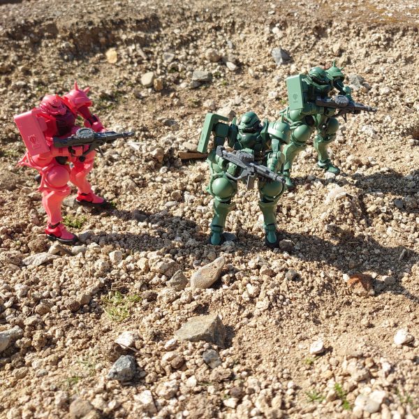 初めてのお外で撮影